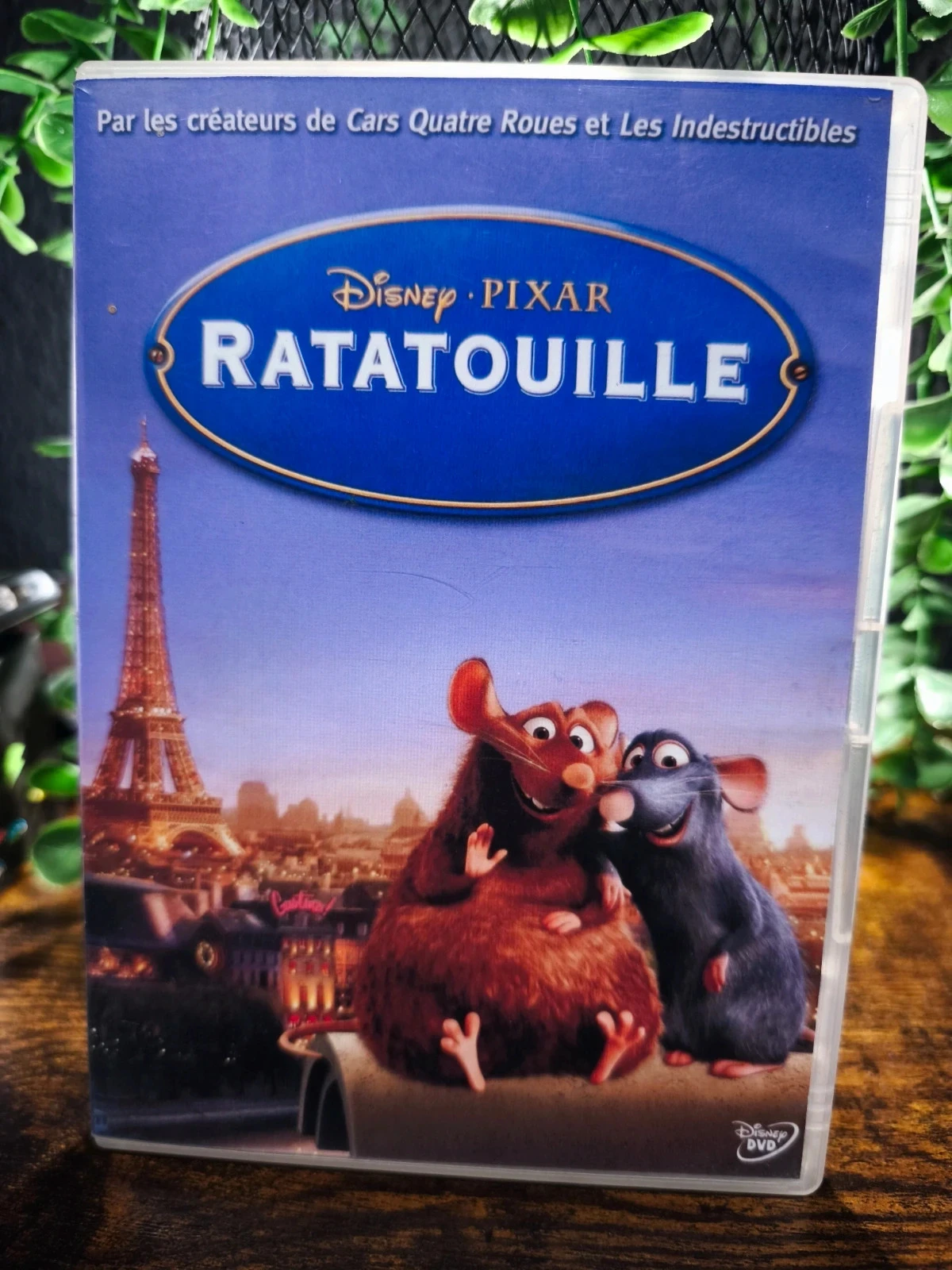Ratatouille